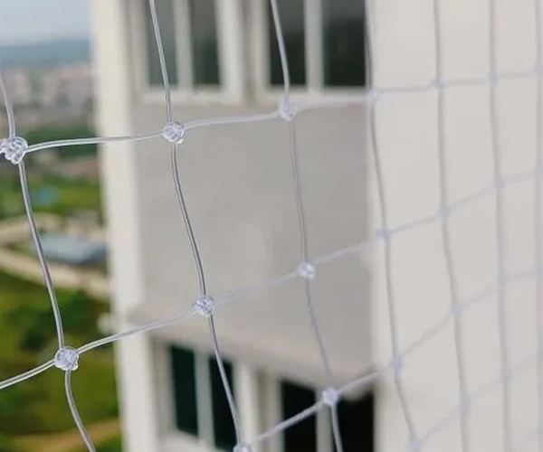 Transparent Polycarbonate Bird Net in Greater Noida